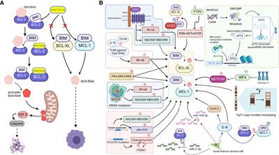 Mechanisms of venetoclax resistance and solutions